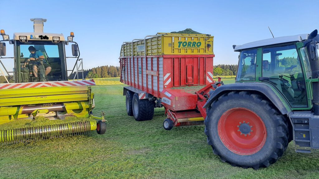 Silieren Sommer 2022